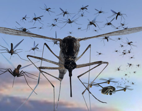 Szúnyog, vér, építőipar: jönnek a drónok!