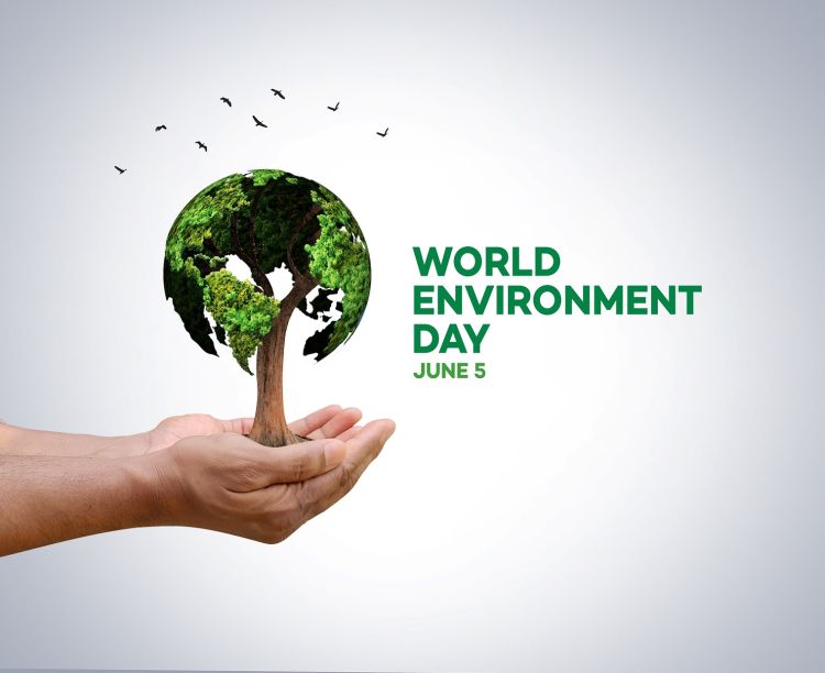 környezetvédelmi világnap