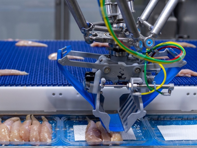 gép robotkar műanyag tálca csírkehús