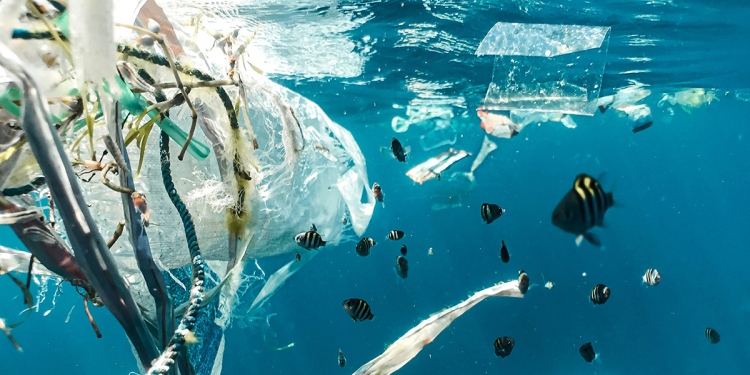 tenger óceán hal műanyaghulladék
