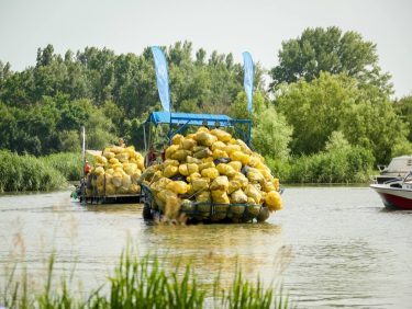 szemétszedés folyó hajó pet kupa