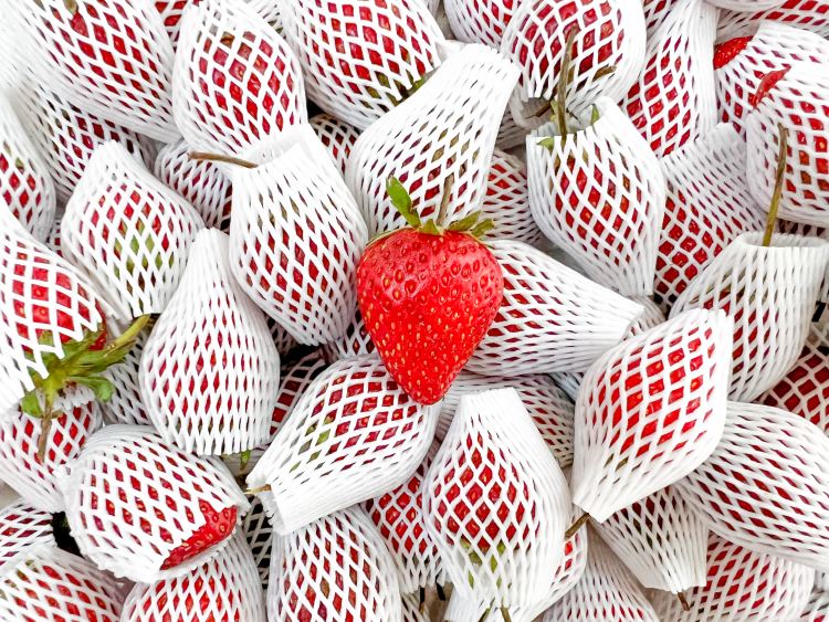 szamóca eper élelmiszer műanyag csomagolás