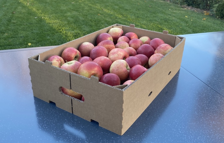 hullámpapír rekesz alma dunapack packaging