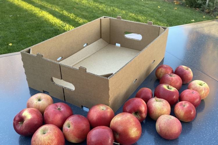 hullámpapír rekesz alma dunapack packaging