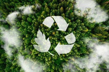 csomagolás körforgásos gazdaság