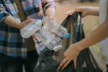 visszaváltásra szánt műanyag palackok gyűjtése