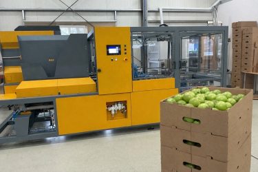 Automatizált csomagolás zöldség-gyümölcs szektorban