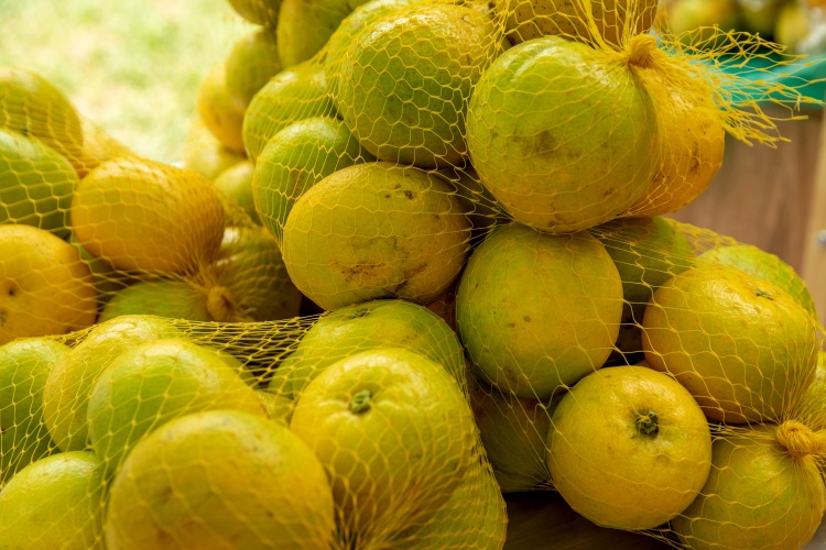 Citrusfélék sárga műanyag hálós csomagolásban, egymásra halmozva.