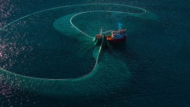Halászhajó dolgozik kiterített hálóval nyílt vízen, a tengeri ökoszisztéma egyik érzékeny környezetében.