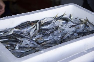 A romlandó élelmiszerek csomagolásánál a hőmérséklet és a frissesség folyamatos ellenőrzése kiemelt jelentőségű (fotó: Shutterstock)