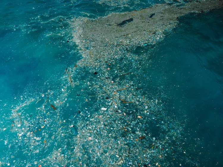A vízfelszínen összegyűlt műanyaghulladék jól mutatja a tengeri szennyezés kiterjedését.